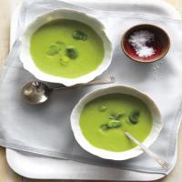 Fava Bean Soup image