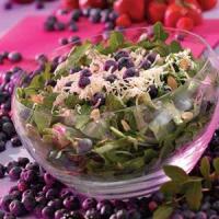 Blueberry Tossed Salad_image