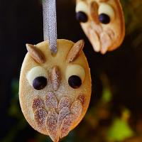 Snowy owl Christmas tree biscuits image