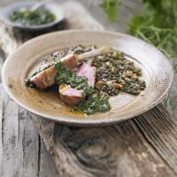 Rack of lamb with lentils & Jack-by-the-hedge sauce image
