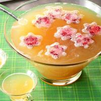 Cranberry Party Punch_image