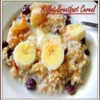 Millet Breakfast Cereal_image
