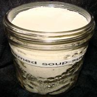 Creamed Soup Substitute_image