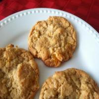 Chewy Apricot Cardamom Cookies image