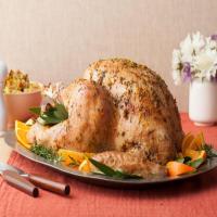 Roasted Thanksgiving Turkey_image