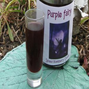 Spiced Blackberry Cordial_image