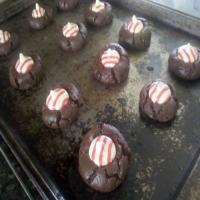 Chocolate Fudge Kiss Cookies (Cookie Mix)_image