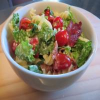BLT Pasta Salad Recipe Recipe - (4.5/5)_image