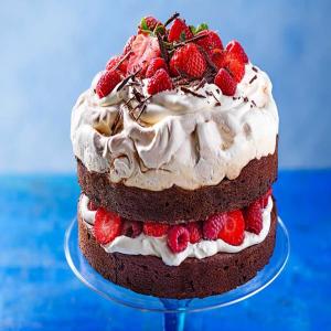 Berry brownie pavlova cake_image