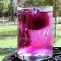 Prickly Pear Health Water_image