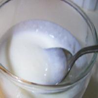 Substitute Sour Cream image