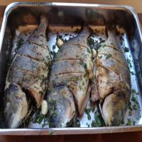 Roasted Sea Bream With Herbs_image