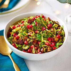 Pomegranate & chestnut sprouts image