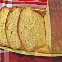 Whole Wheat Bread With Ginger & Cashews for ABM image