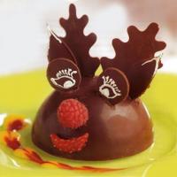 Chocolate Moose image