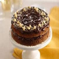 Chocolate Truffle Torte image