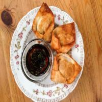 Beef and Vegetable Wontons_image