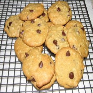 Chocolate Chip, Oatmeal, Walnut and Coconut Cookies image