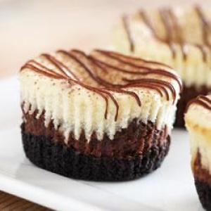 Mini Chocolate Hazelnut Cheesecakes_image