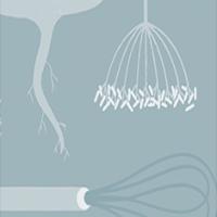 Sauteed Swordfish With Fennel image