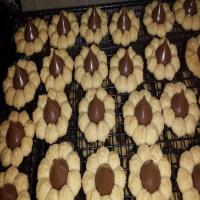 Peanut Butter Blossoms (Pampered Chef)_image