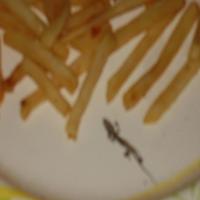 Deep Fried Lizard and Fries_image