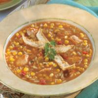 Hearty Chicken Tortilla Soup_image