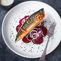 Chargrilled mackerel with sweet & sour beetroot image