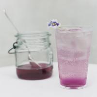 Wild Violet Syrup and Sparkling Water_image