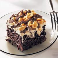 Chocolate-Peanut Butter Fun Cake image