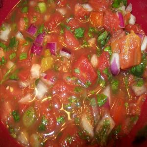 Out of This World Homemade Salsa_image