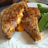 Toasted Roasted Cheese and Onion Sandwich_image