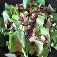 Cranberry and Feta Salad image