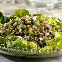 Lentil Rice Salad_image