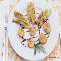 Balsamic Reduction with Grilled Scallops and Fennel Recipe - (4.6/5) image