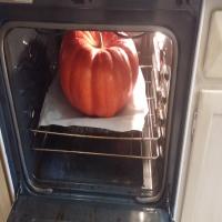 Pumpkin Stuffed With Everything Good image