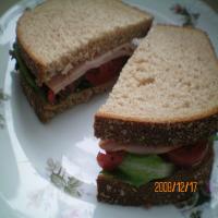 Lunch Meat Sandwich Menu (Lite-Bleu)_image