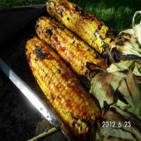 Grilled BBQ corn on the cob image