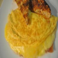 Easy Omelette for 2 or 3, Paula Deen Style_image