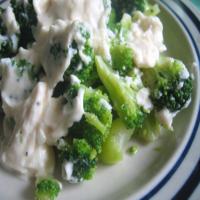 Broccoli in Cream image