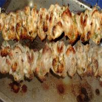 Grilled Chicken Spedinis_image