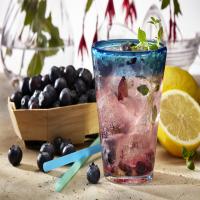 Blueberry Stevia Lemonade image