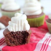 Coconut Flour Chocolate Cupcakes_image