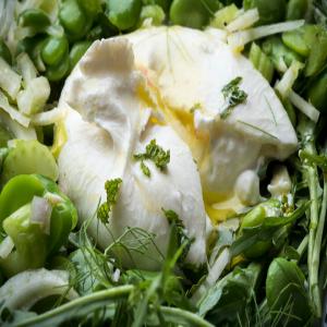 Burrata With Fava Beans, Fennel and Celery_image