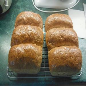 60% Whole Wheat Grain Bread Recipe - (4.3/5)_image