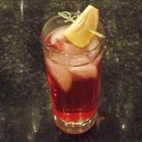 Cranberry Gin and Tonic_image