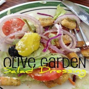 Olive Garden Dressing Recipe - (4.5/5)_image