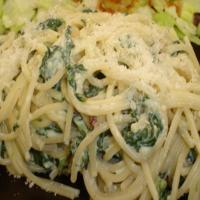Herb Cheese and Spinach Sauce With Pasta_image