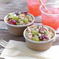 Tuna Salad With Grapes and Lemon Tarragon Dressing_image