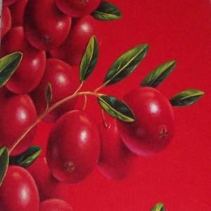 Cranberry Salad / Poppy Seed Dressing_image